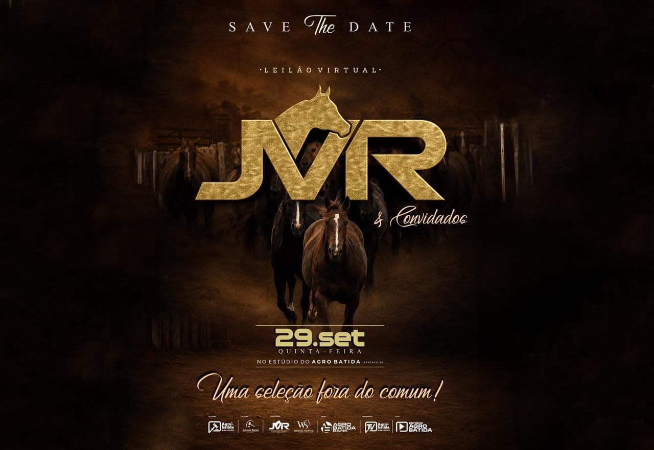 LEILÃO VIRTUAL JVR E CONVIDADOS