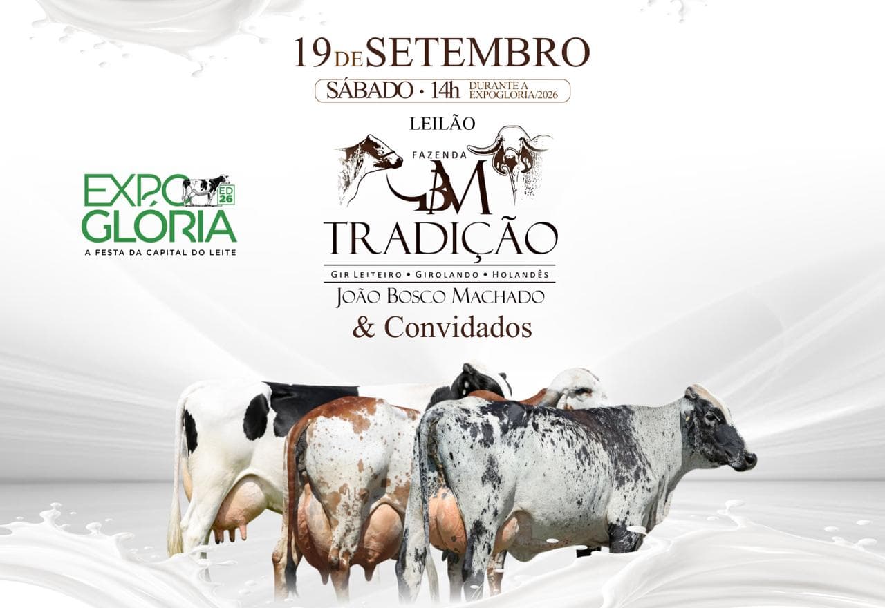 LEILÃO FAZENDA TRADIÇÃO E CONVIDADOS
