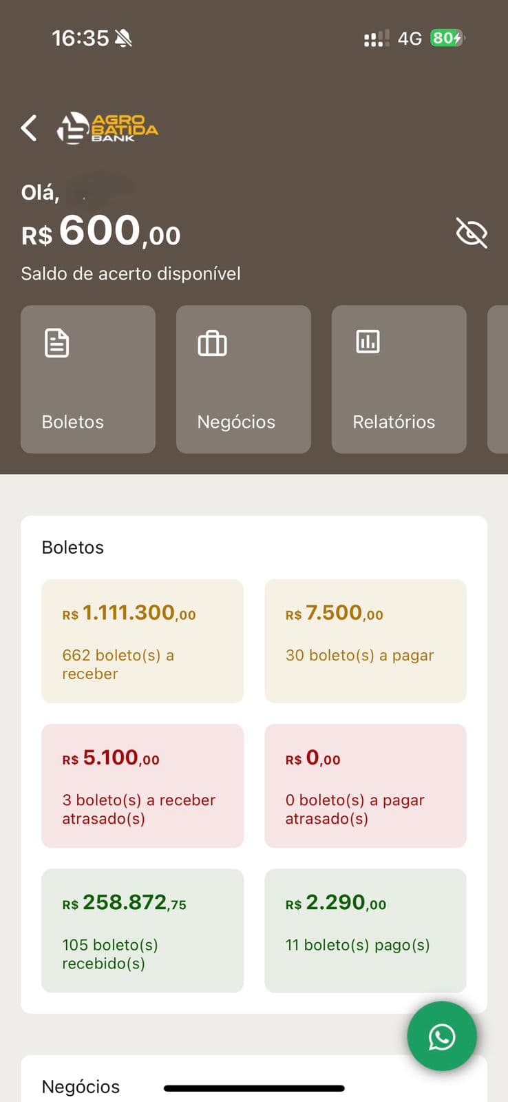Agrobatida Bank App Preview