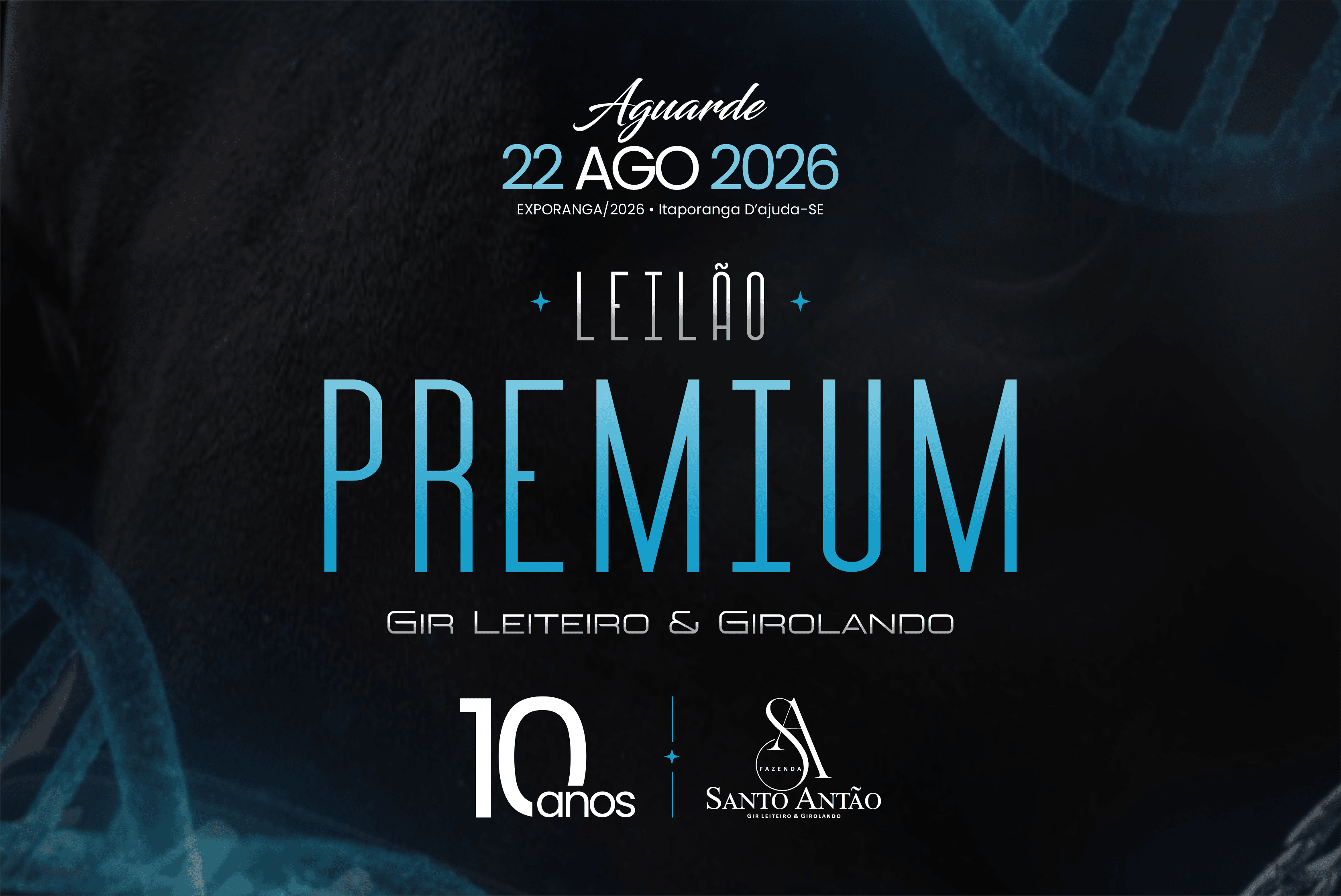 2º LEILÃO PREMIUM SA