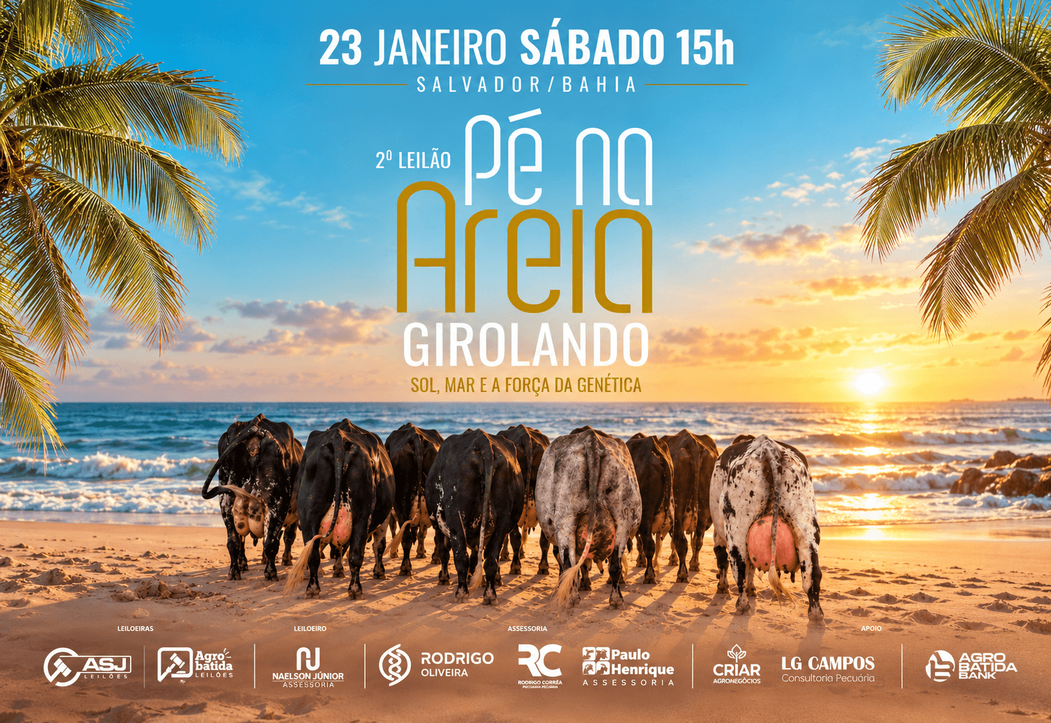 II LEILÃO PÉ NA AREIA GIROLANDO