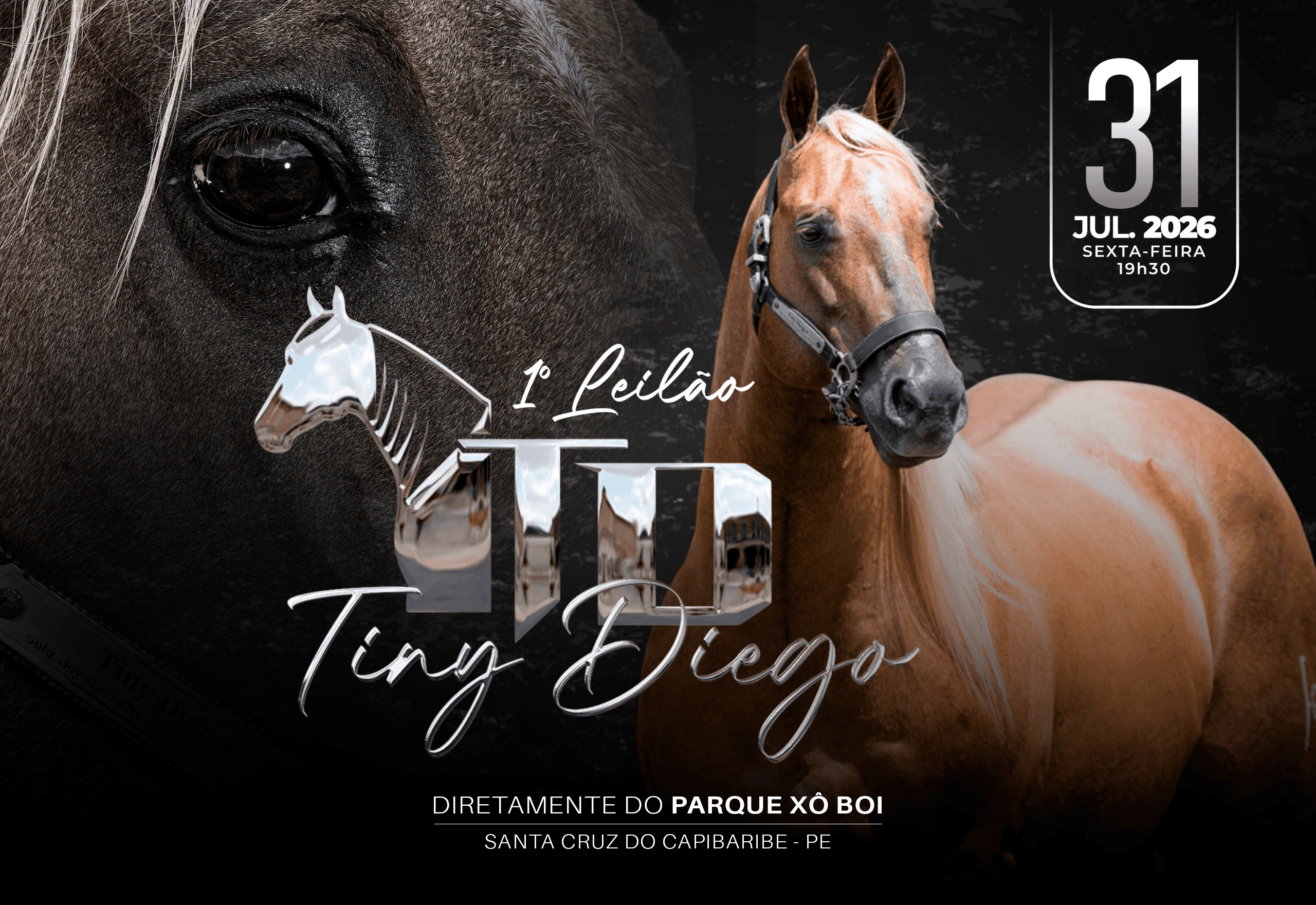 1º LEILÃO TINY DIEGO